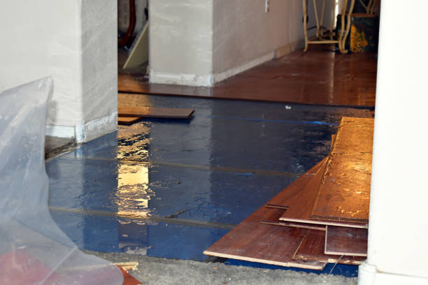 Professional Basement Water Removal technician working in Lowell, IN